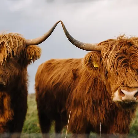 Urlaub An Der Flensburger Foerde Mit Sauna & Schoenem Ambiente 3*